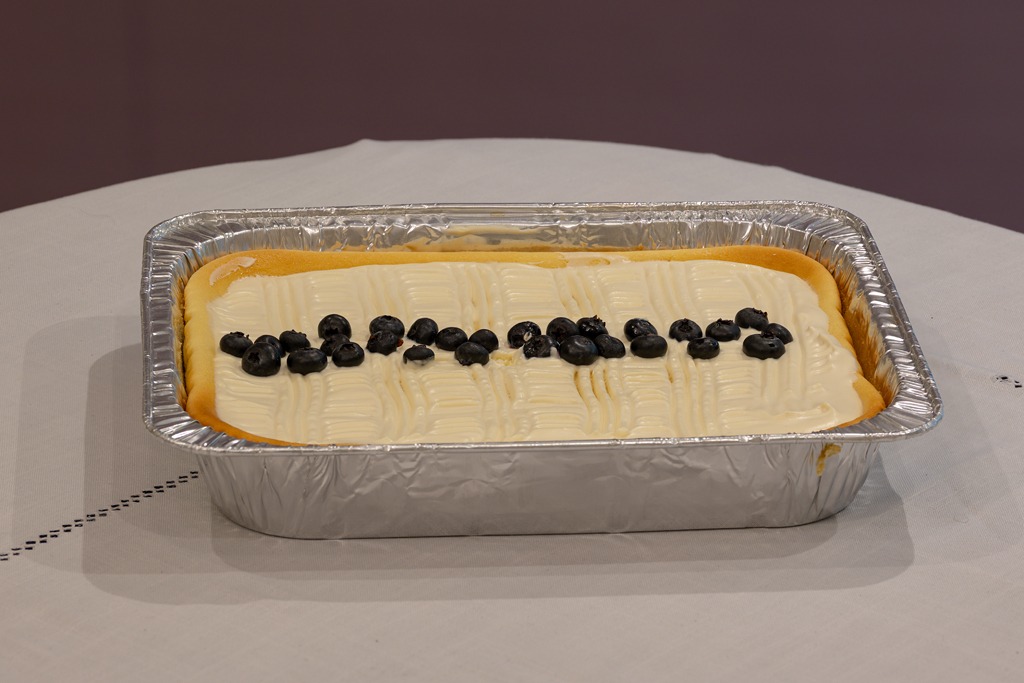 Baked blueberry cheesecake in a tray